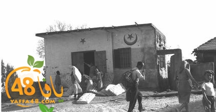 ramla 14948 (11).jpg